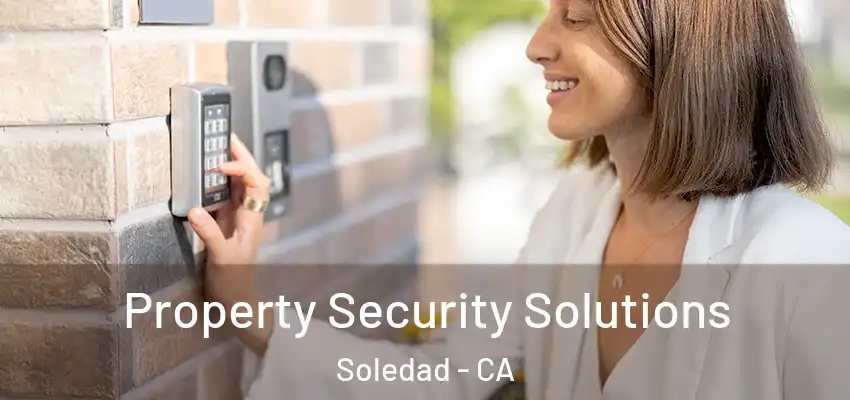 Property Security Solutions Soledad - CA